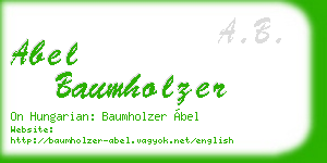 abel baumholzer business card
